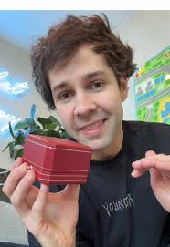 Maximus Russo and Sophie Taylor's Hilarious Moment with David Dobrik's  Assistant