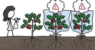 The Secret Social Life Of Plants By Minuteearth Http Www Youtube Com Watch V Vk 12s7tb Y Plant Science Secret Life Of Plants Gif Of The Day
