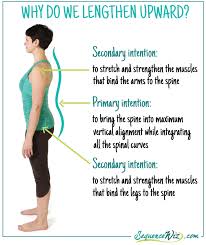 On an inhale, extend your spine vertically, very slightly untwisting. 4 Types Of Yoga Poses That Increase Axial Extension Yogauonline