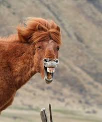 Only personal attacks are removed, otherwise if it's just content you find offensive, you are free to browse other websites. Maybe She S Born With It Imgur