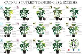 Nutrient Deficiency Chart Creativedotmedia Info