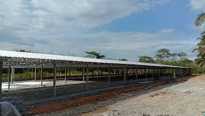 Maybe you would like to learn more about one of these? Kontraktor Reban Ayam Bisnes Ayam Daging Kontrak Farming Maria Firdaus