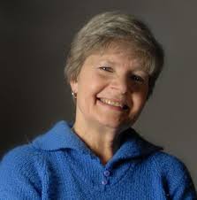 Dave Durant and the Mystery of the Stone House