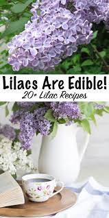How To Eat Lilacs And Other Ways To Use Them Edible Flowers Recipes Flower Food Edible Flowers