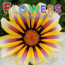 8205 santa monica blvd ste 7. Flowers Of West Hollywood By Mike Pingel
