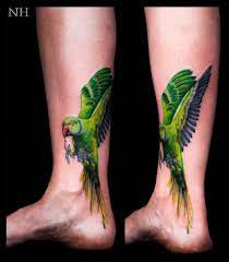 If the original reference is a male eclectus parrot, the final tattoo could appear in green color. Nickharttattoo Parrot Tattoo Tattoos Roots Tattoo