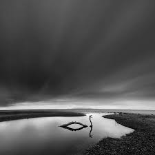 When photography life has covered black and white photography recently, we've shown that it relies upon the concepts of form, texture, lines beautiful photos and very clear explanations. Surreal Nature Photography By George Digalakis Is Mysteriously Minimalist