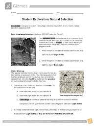 What many do not realize is how much work and research goes on behind the scenes to produce the. Student Exploration Natural Selection Gizmo Natural Selection Evolution