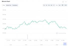 Bitcoin's worth is determined by the market, not by any central authority, by design. The Future Of Btc Until There S Clarity There S Going To Be Chaos Nativenewspost