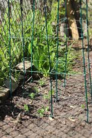 They will support your plants' weight and encourage their growth, while also creating a lovely display that will spruce up the look of your garden. Pea Trellis Bamboo Stakes And Garden Twine Pea Trellis Bamboo Stakes Diy Garden Trellis