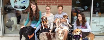 Burkes outlet in marion is committed to bringing our neighbors a wide variety of clothing for the entire family, plus accessories, home and beauty items at up to 70% off what you'll find at competitors' stores. The 13 Best Pet Stores In Raleigh