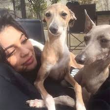 Kylie Jenner Posts A Tribute To Her 'Sweet' Dog Norman