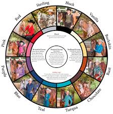 Hobby Horse Winning Colors Color Wheel Horse Color Chart
