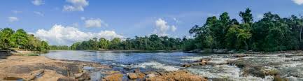 Urlaub suriname & urlaubbewertungen auf travel24.com finden! Beste Reisezeit Suriname Wetter Klimatabelle Und Klimadiagramm