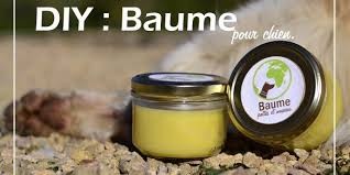 Diy Baume Pour Chien Pattes Et Museau Chien Patte De Chien Baume