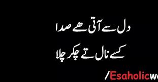 Arz kita hai, main majjh wechi me gaan wechi…. Pin By Ali Khan On Pakistani Awam Punjabi Funny Quotes Funny Quotes In Urdu Funny Whatsapp Status