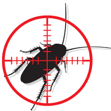 He is reliable, knowledgeable and efficient. Hitman Pest Control Facebook