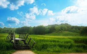 Greenery Wallpaper 1280 800 Best Nature Wallpapers Hd Green Nature Wallpaper Best Nature Wallpapers