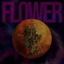 images?q=tbn:ANd9GcQvQuLzZKd-ogMxgMdpg0pFYwA2ukTUthbjTw&s