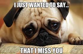 We did not find results for: 57 I Miss You Meme Meme Central