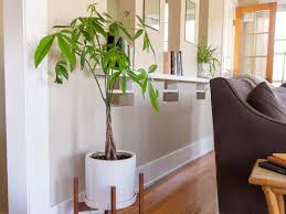 But for the most part, the main reason why they are introduced into home interiors from a feng shui perspective is for the natural wood elemental energy that they bring. The Feng Shui Money Plant And How To Place One