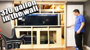 Find out how wall mounted fish tanks may be ideal for you and which companies to choose from. My In Wall Aquarium Youtube