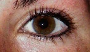 Pin By Heather Iris On Eyeliner Looks Eyeliner Looks Eyeliner Eyes