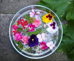 Si immergono le erbe in una ciotola piena di acqua pura e si pone questo preparato al magico effetto della notte. L Acqua Di S Giovanni Off 74 Www Amarkotarim Com Tr