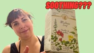 Amazon.com: Celebration Herbals Organic Mullein Leaf Tea Bags 24 Count :  Grocery & Gourmet Food