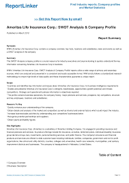 The carrier offers life insurance, various health insurances, disability income, annuities, and more. Ameritas Life Insurance Corp Swot Analysis Company Profile