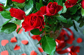 Feb 20, 2015 · 10.roses are red violets are grey i'm a dog. Essence Of Roses Are Red Violets Are Blue Poems