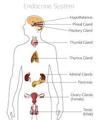 Pin On Salud