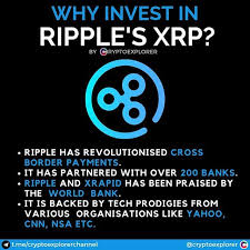 Here, as in any other type of trading, it is important to buy on time and sell on time. Pin On Cryptoexplorer