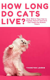 An indoor cat will not be used to roads or cars, or any people or wildlife it encounters. How Long Do Cats Live Convert Cat Years To Human Years How Old Is Your Cat In Human Years English Edition Ebook Lehrke Thorsten Amazon De Kindle Shop