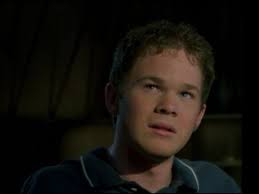 Shawn Ashmore