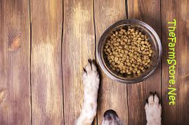 He might seem peppier or he might relax and take a nap, or even start asking for food. Best Dog Food For Diarrhea Reviews 2020