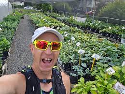 Budd Gardens Perennials and Hostas