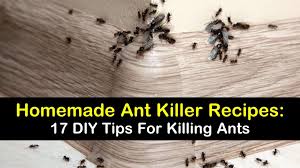 When an ant colony can't be located, use a poison bait. 17 Diy Ant Killer Recipes For Indoors Out