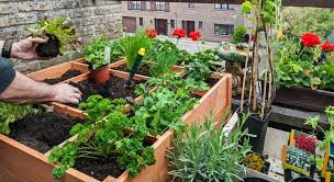 Il comprend le nécessaire du jardinage pour une utilisation sur les balcons, patios. 6 Conseils Pour Faire Son Potager Sur Son Balcon