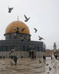 للمسجد الأقصى وبيت المقدس فضائل جمة وبركات وفيرة ذُكِرت في كتاب الله وسُنة نبيه صَلَى اللهُ عَليهِ وَسلَّم. Ø¨Ø§Ù„ÙÙŠØ¯ÙŠÙˆ Ø­Ù…Ø§Ù… ÙˆÙ‚Ø·Ø· Ø§Ù„Ø£Ù‚ØµÙ‰ Ù…Ø±Ø§Ø¨Ø·ÙˆÙ† ÙÙŠ Ø§Ù„Ø­Ø±Ù… Ø§Ù„Ù‚Ø¯Ø³ÙŠ Ø³ÙŠØ§Ø³Ø© Ù…Ù†ÙˆØ¹Ø§Øª Ø¹Ø§Ù„Ù…ÙŠØ© Ø§Ù„Ø¥Ù…Ø§Ø±Ø§Øª Ø§Ù„ÙŠÙˆÙ…