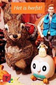 Eekhoorn Het Is Herfst Pokemon Disney Pikachu