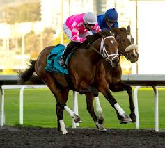 The preakness stakes first ran in 1873, and is traditionally run on a saturday. Expert Pick Of The Week 2021 Preakness Stakes