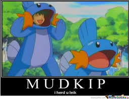 So I Herd You Liek Mudkipz For Potato Prince S Meme Contest Minecraft Skin