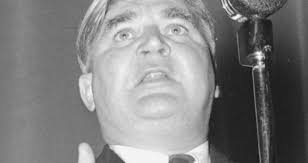 NHS Long Term Plan and Mental Health Implementation Plan: Phoenix or  dinosaur?