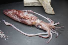 Das geheimnis der größe des riesenkalmars lüfteten die. Calamaretti Online Kaufen Kalteisolierte Expresslieferung