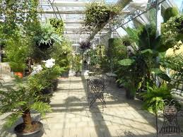 Tropenhalle Solothurn Wedding Locations Plants Locations