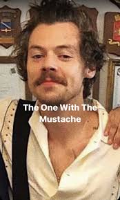 The One Where Harry Styles Sneezed On Me Day Who Knows The One With The Mustache Wattpad It's harry potter! was the straw that finally lead to me getting contacts.