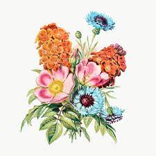 Vintage Flower Bouquet Transparent Png Premium Image By Rawpixel Com Flower Bouquet Drawing Flower Illustration Summer Flower Bouquet
