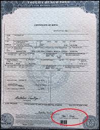 Ny Long Form Birth Certificate Steven P Schwartz In 2020 Long Form Birth Certificate Birth Certificate Original Birth Certificate