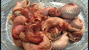 Trade talks are expected to be held in shanghai from july 30 to 31, 2019, china's ministry of commerce announced on thursday. Pangolins Eaten To Extinction Youtube